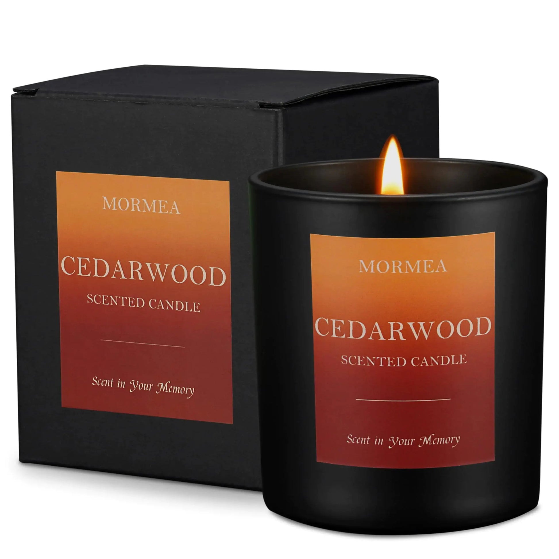 MORMEA Scented Candles Cedarwood Aromatherapy Candles for Home Scented Natural Soy Wax Candles 8oz Long Lasting Candles for Men & Women Jar Candles for Birthday & Holiday The Blue Coil